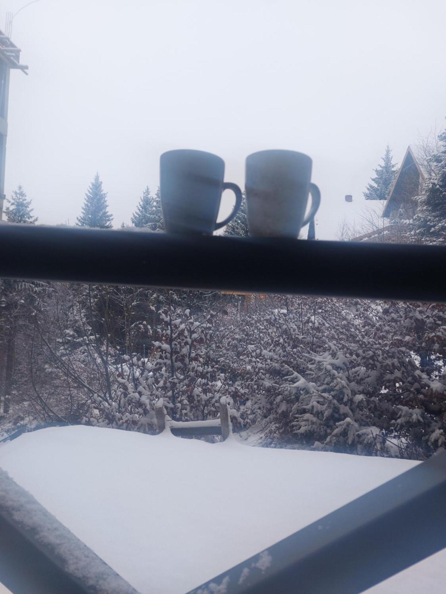 Apartman Milly Kopaonik Buitenkant foto
